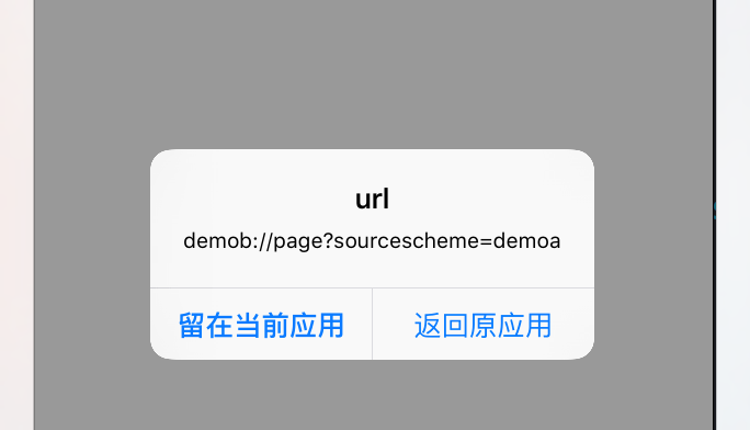 urlschemedemo